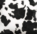 CINTURÓN PIEL Y PELO ANIMAL PRINT